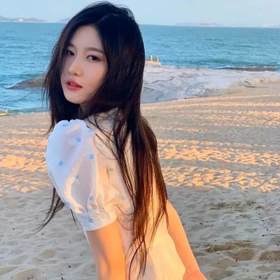 海龟们 在线观看